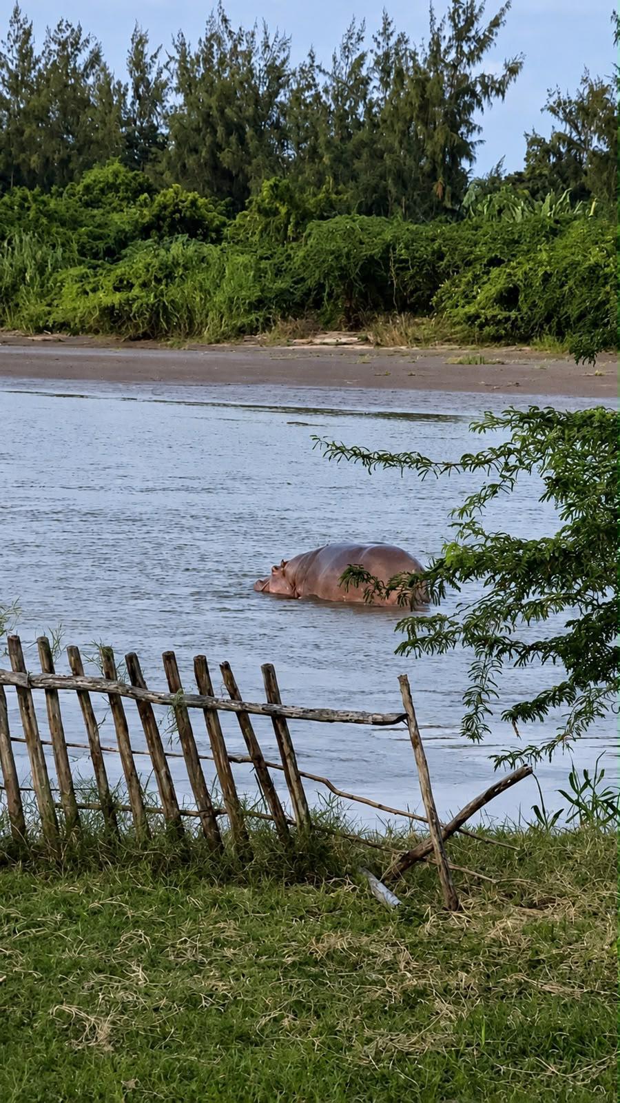 Riverside surroundings at Hippo House